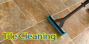 grout cleaning